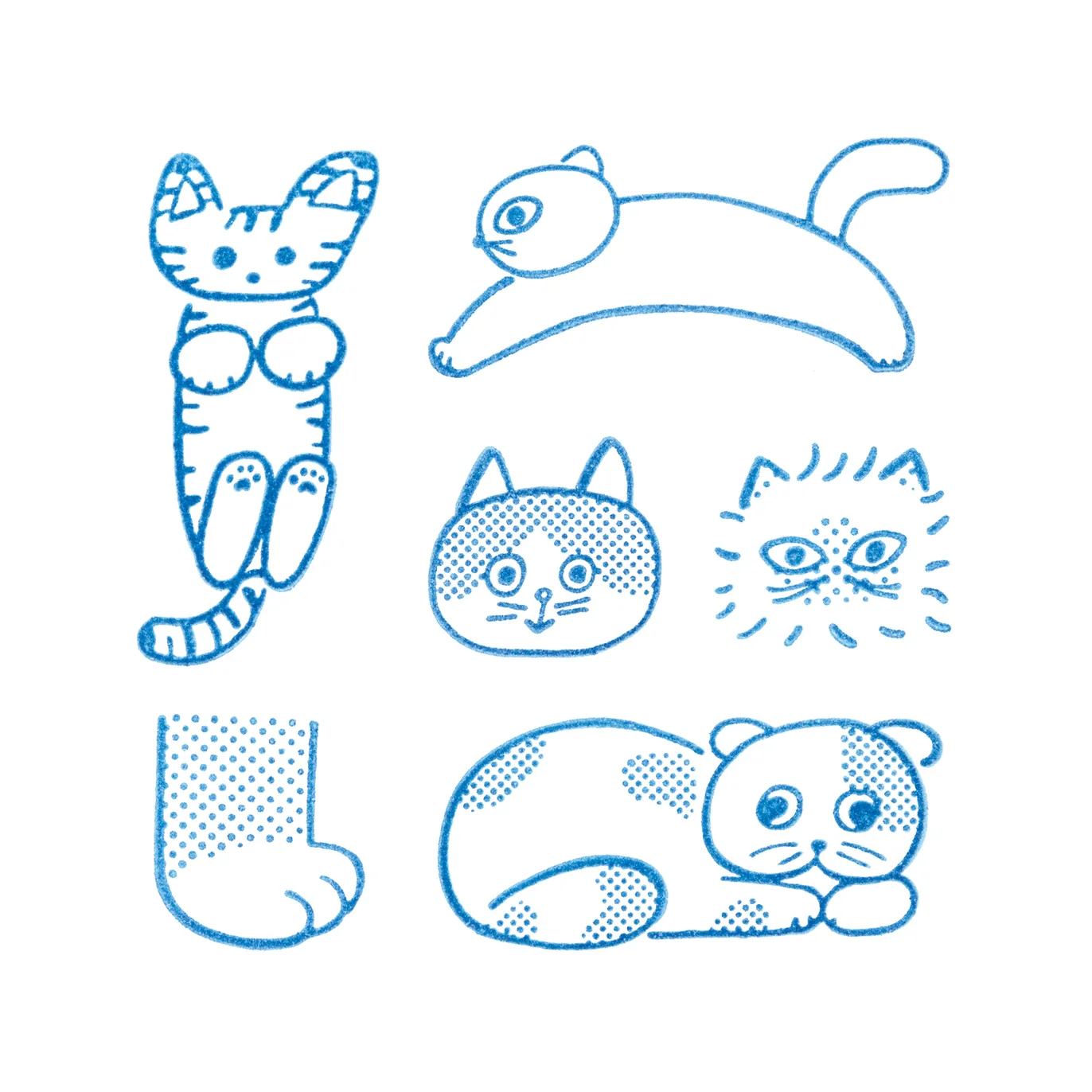 Thumbnail 13